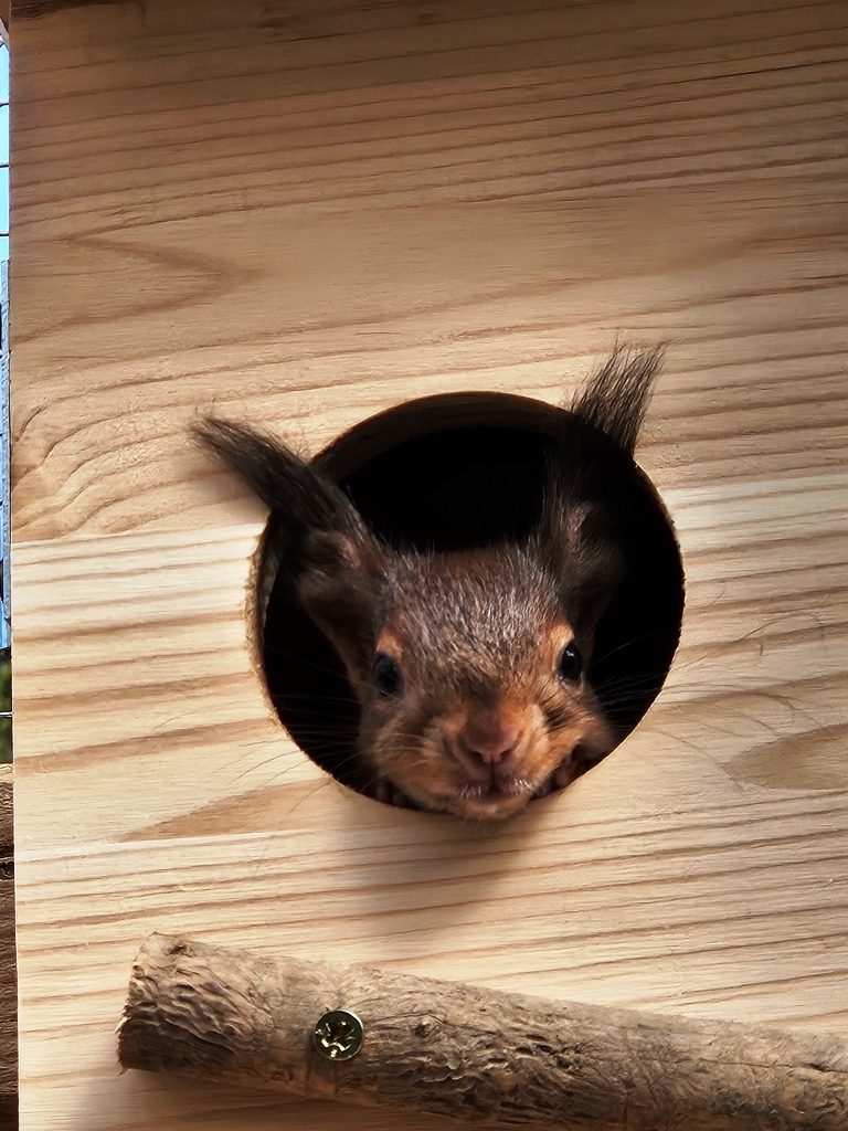 Erste Hilfe für kleine Zauberwesen
