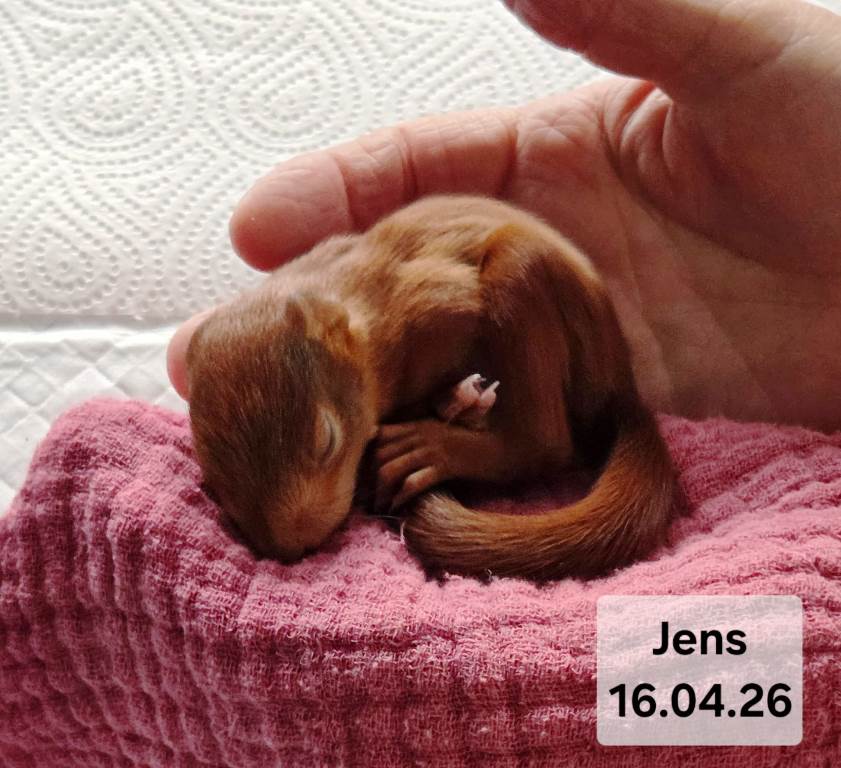 Jens – schon eine kleines Wunder