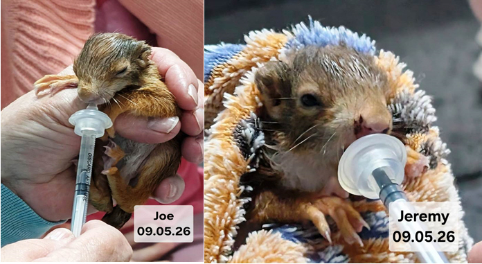 Jeremy und Joe